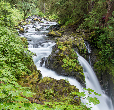 CH140723_OlympicPeninsula_SolDucFalls_031