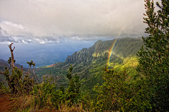 CH111223_Hawaii2011_Day6_04 as Smart Object-1