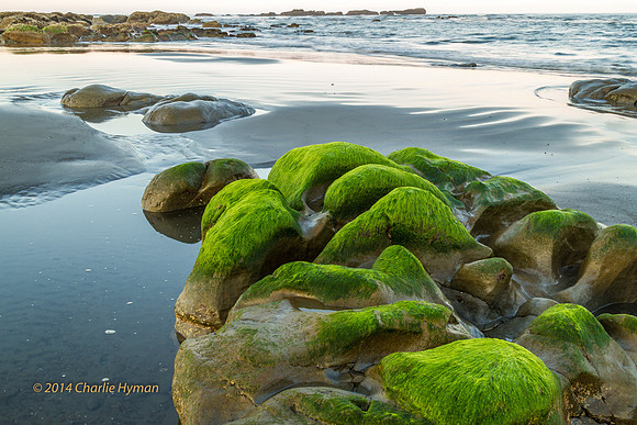 CH140726_OlympicPeninsula_RubyBeach_197