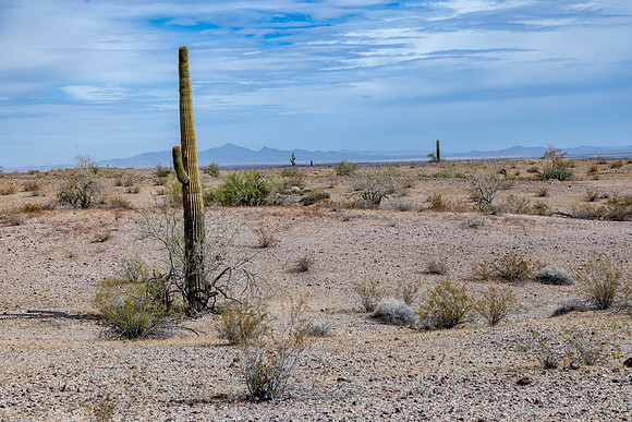 CH250328_BouseHorseCamp-044