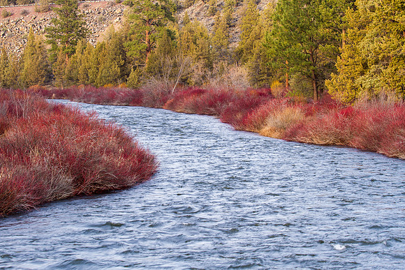 CH140324_TumaloStatePark_035