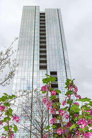 CH160319_OldTownPDX_178