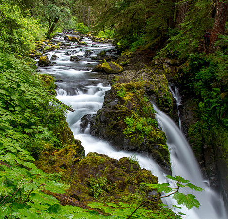 CH140723_OlympicPeninsula_SolDucFalls_031
