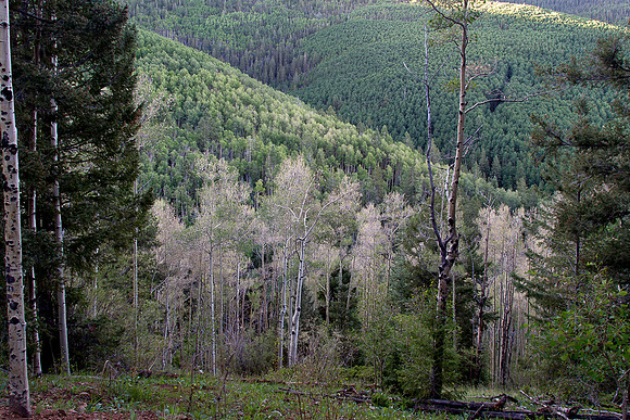 CH150709_SantaFe_346
