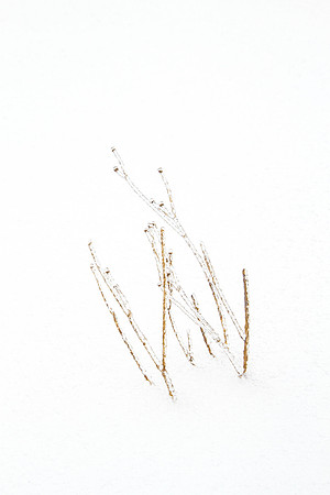 CH140209_IceStorm_MalloyWay_054