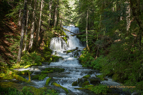 CH140816_Mt.Adams_KillenCreek_351