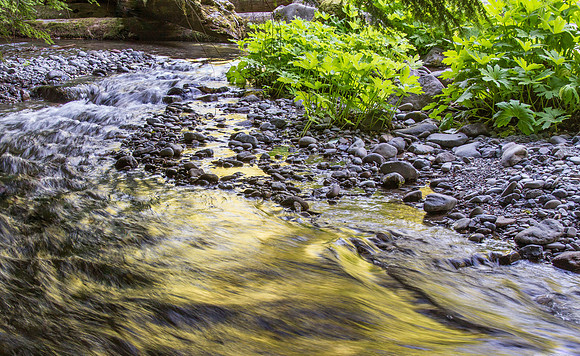 CH150617_SalmonRiver_040