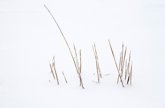 CH140209_IceStorm_MalloyWay_069