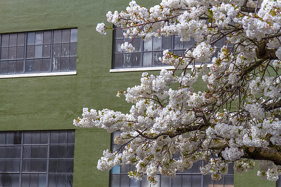 CH160319_OldTownPDX_029