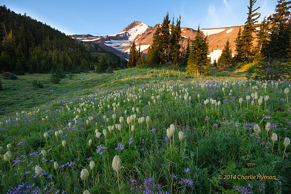 CH130814_MtHood-ElkCove_120