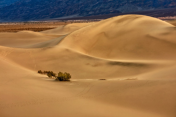 CH120327_DeathValley_MesquiteDunesSunrise_13 as Smart Object-1