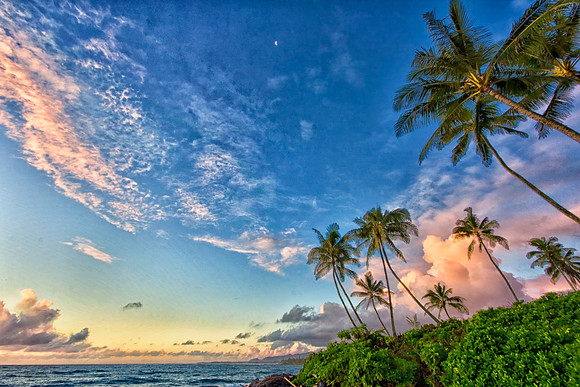 CH111218_Hawaii2011_Day1_80 as Smart Object-1
