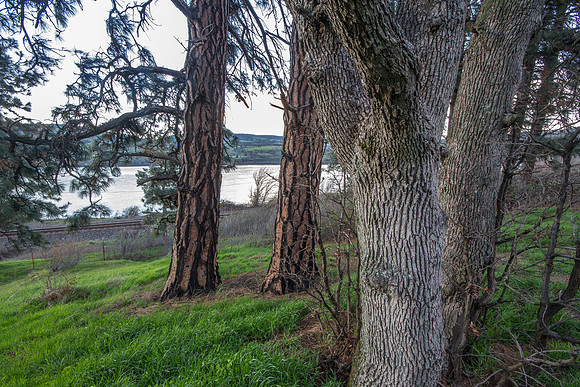CH140327_MemalooseStatePark_040