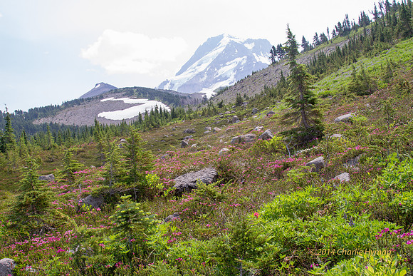 CH140804_Mt.Hood_VistaRidge_041