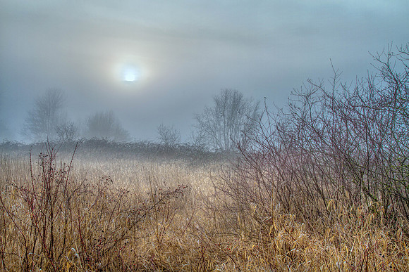 CH150214_Fog_CoffeeCreek_012-Edit