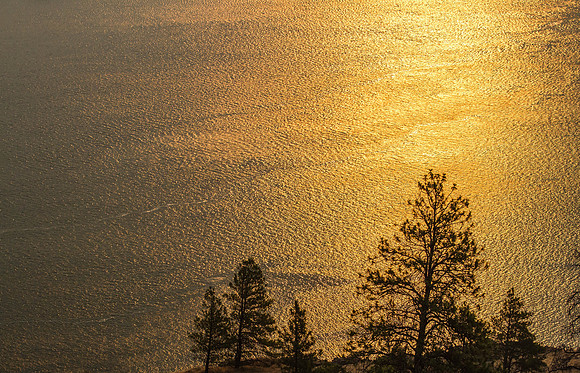 CH150819_RowenaSunrise_Smoky_118