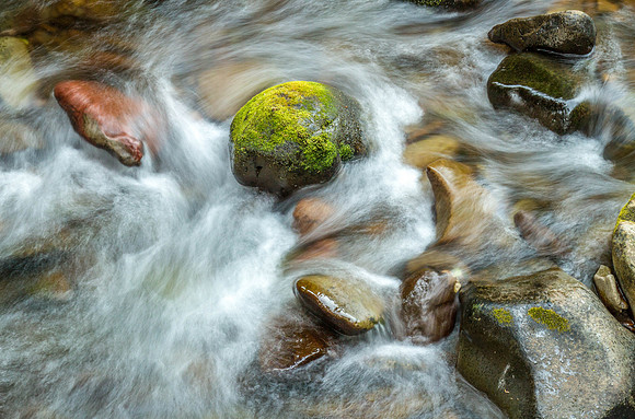 CH140809_TrapperCreek_106