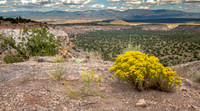 CH220915_NewMexico_155