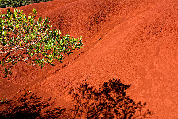 CH111223_Hawaii2011_Day6_69 as Smart Object-1