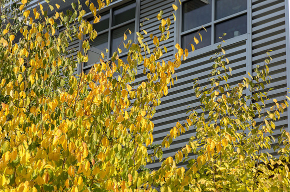 CH160929_FallColors_012