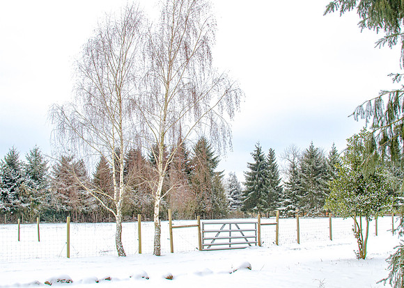 CH140207_SnowDay_MalloyWay_083