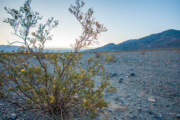 CH120325_DeathValley_StovepipeWells_00
