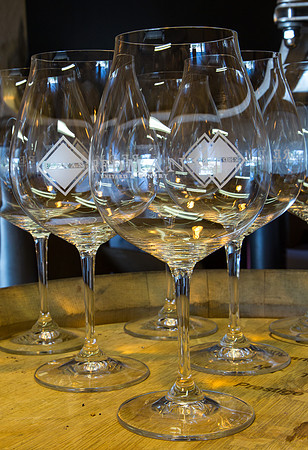 CH160730_RedmanVineyards_005