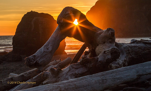 CH140725_OlympicPeninsula_RubyBeach_094