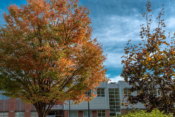 CH160929_FallColors_010