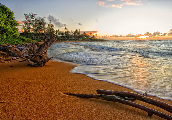CH111218_Hawaii2011_Day1_77 as Smart Object-1
