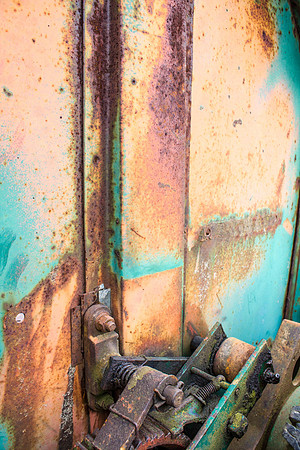 ScenesAroundTheYard_0015