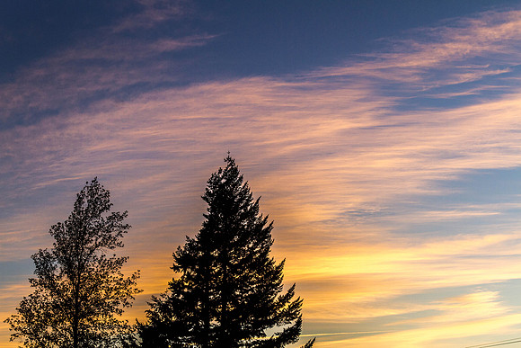CH151010_SouthernOregon_015