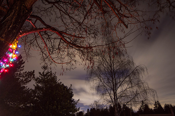 CH130108_NightSky_0013