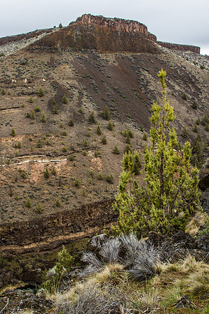 CH140326_CrookedRiverGorge_001