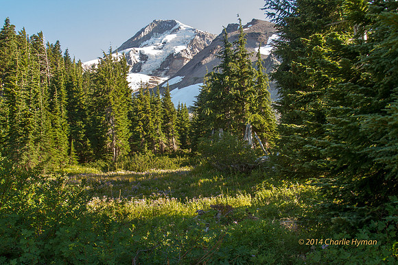 CH130814_MtHood-ElkCove_014