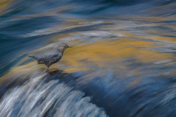 CH140323_BelknapHotSprings_141-Edit