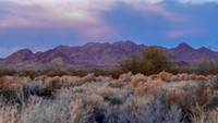 CH250326_BouseHorseCamp-009