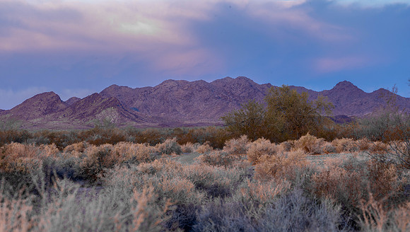 CH250326_BouseHorseCamp-009