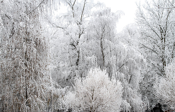 CH131212_FreezingFog_Wilsonville_008