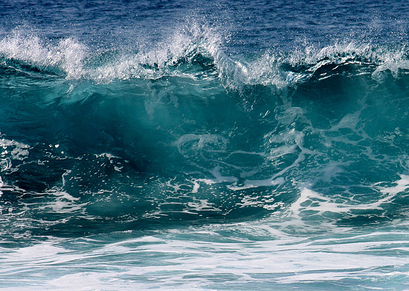Hawaii_20091225_0025