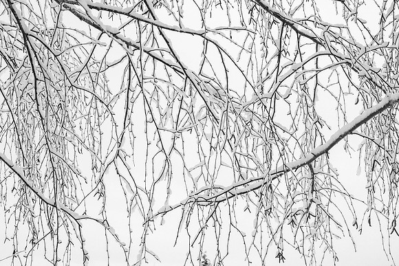 HouseWinterStormDec2008_0016