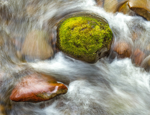 CH140808_TrapperCreek_058