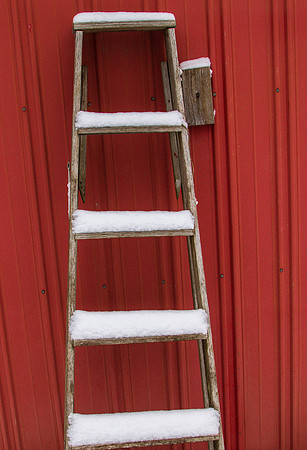 CH140207_SnowDay_MalloyWay_067