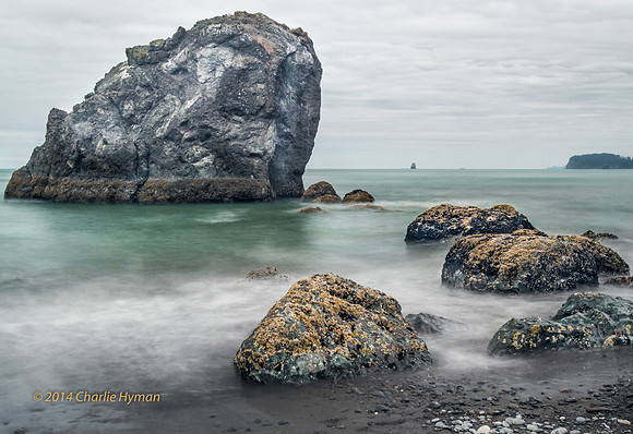 CH140725_OlympicPeninsula_RubyBeach_019