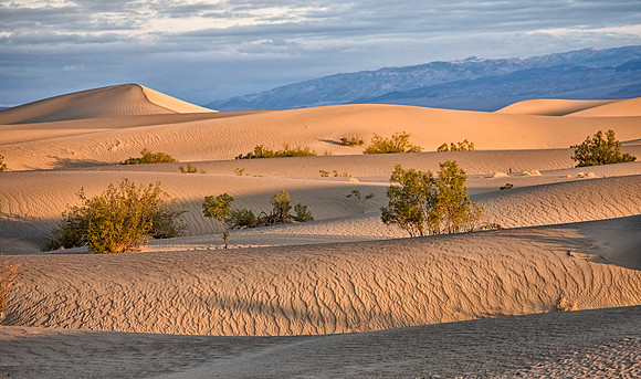 CH120326_DeathValley_MesquiteDunesSunrise_11 as Smart Object-1