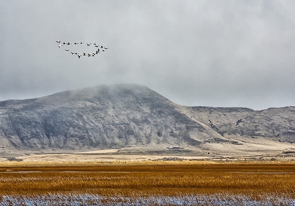 CH120331_KlamathWildlifeRefuge_37 as Smart Object-1