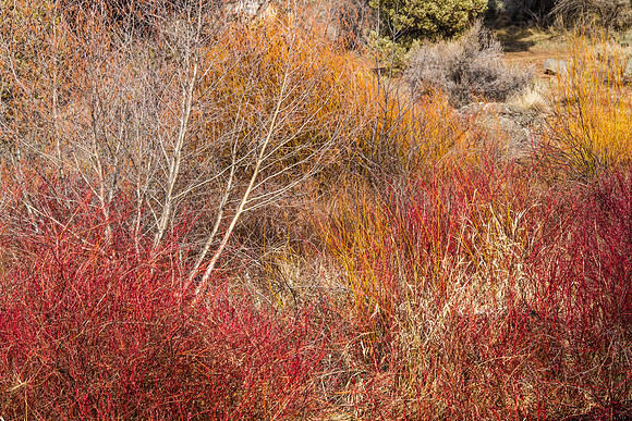 CH140324_TumaloStatePark_020