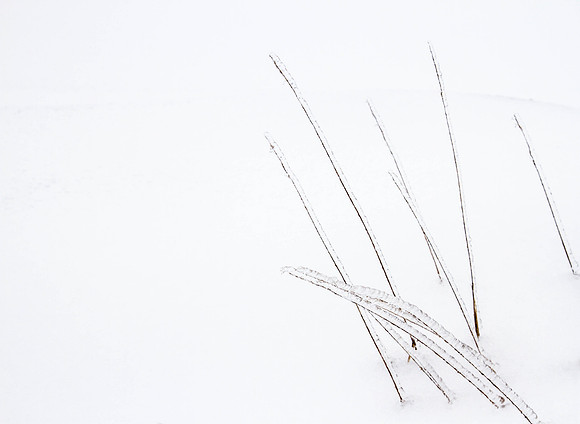 CH140209_IceStorm_MalloyWay_064