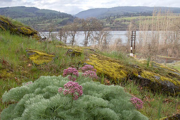 CH140327_MemalooseStatePark_017