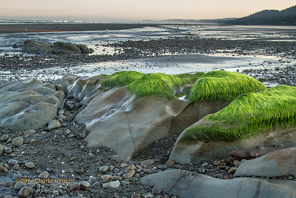 CH140726_OlympicPeninsula_RubyBeach_215